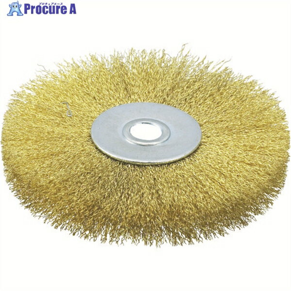 TRUSCO ホイルブラシ 100X10mm穴 真鍮線 線径0.15 TB-6354 1個 ▼329-1294