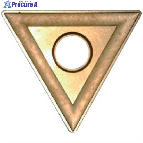 富士元 C面取り用並級チップ 超硬M種 TiNコーティング NK3030 T32MOR NK3030 12個 ▼353-4570