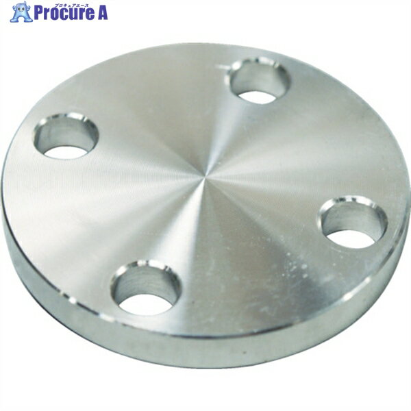 FLOBAL SUS304 5K Ļߥե 14100557 SUS-5K-BL-FF-40A 1 444-6046