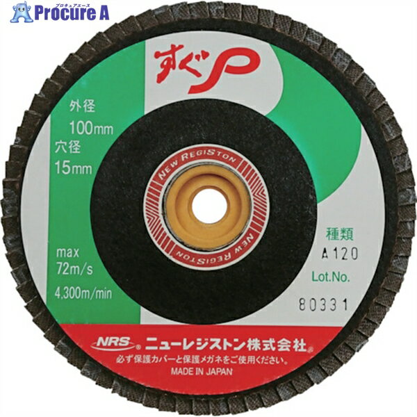 NRS ペーパー多羽根ホイル すぐP 100×M10 A120 72枚羽根 SUGP10072A120 10枚 ▼815-9957