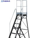 TRUSCO 踏み台TDAD用フルセット手すり 高さ1100mm 本体高さ2.10m用 TDAD-TF-210-110 1台 ◇▼115-7863