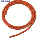 TRUSCO 【売切廃番】2連はしご54用交換パーツ ロープ 9m オレンジ色 TDLR-54 1本 ▼161-1137