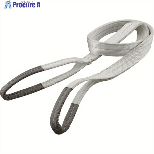 TRUSCO ベルトスリング JIS1等級 化学薬品用 50mmX2.0m TG50-20C (カガクヤクヒンヨウ) 1本 ▼287-0223