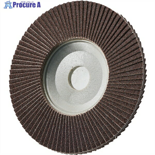 AC テクノディスクA #100 外径100×羽根長さ15×穴径16 TD10016-A-100 5枚 ▼306-2031