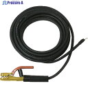 TRUSCO キャブタイヤケーブル ホルダ丸端子付 10m TCT-3810KH 1S ▼326-5943