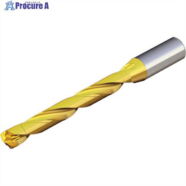 TAEGUTEC 刃先交換式ドリルホルダー ドリルラッシュ TCD 075-079-12S0-8D 1本 ▼440-3262