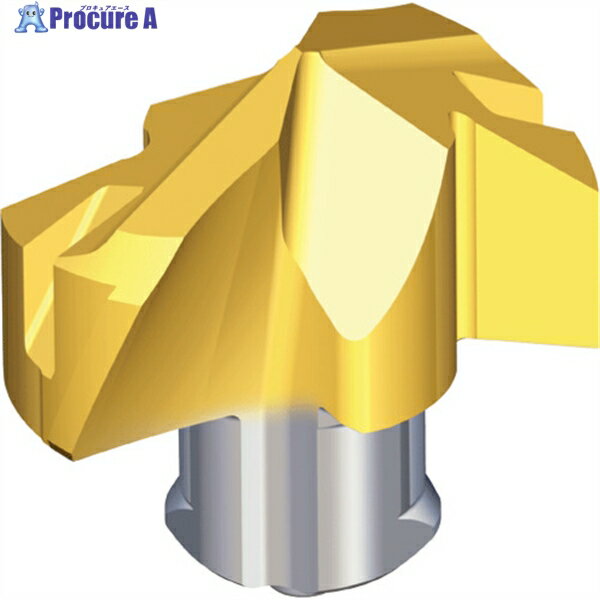 TAEGUTEC 刃先交換式ドリル用ヘッド ドリルラッシュ TCD-068-K TT9080 1個 ▼446-5692