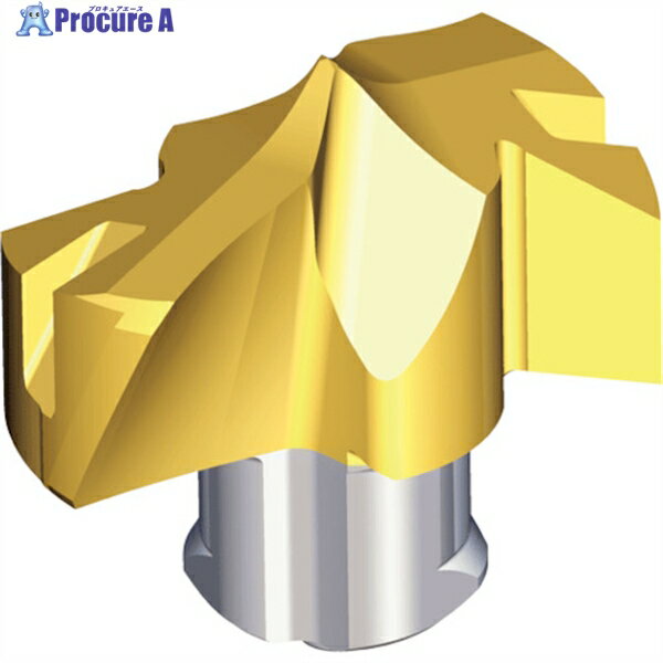 TAEGUTEC 刃先交換式ドリル用ヘッド ドリルラッシュ TCD-180-P+ TT9080 1個 ▼446-7280