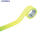 TRUSCO 中輝度蓄光テープ20mmX10m TCTT20X10 1巻 ▼488-6895