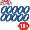TRUSCO まとめ買い カラー針金 小巻タイプ 青 18番手 線径1.2mm×10m 10本 TCWS-12B-10P 1組 ▼555-0846