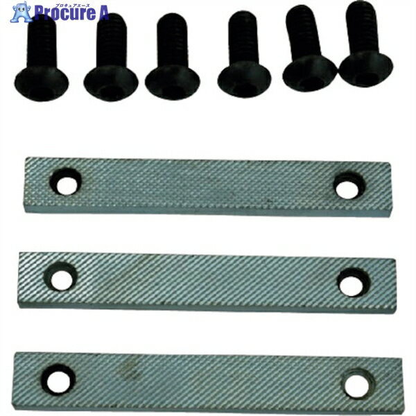 TRUSCO メカニックバイスTDWV-200用 口金・固定ねじセット TDWV-200KB 1S ▼566-4743