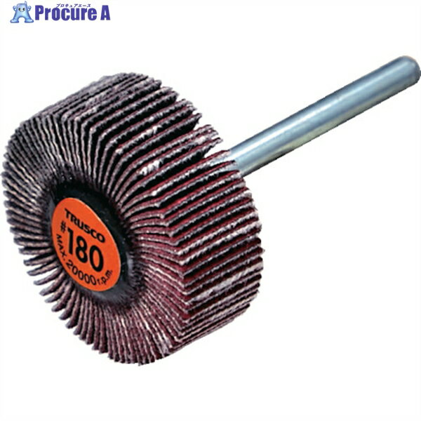 TRUSCO ߥåեåץۥ 3mm #180 2510߼Ĺ30 (10) TCF2510-CE-180 1Ȣ...