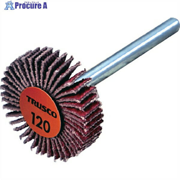 TRUSCO ߥåեåץۥ 3mm #120 255߼Ĺ30 (10) TCF2505-CE-120 1Ȣ ...