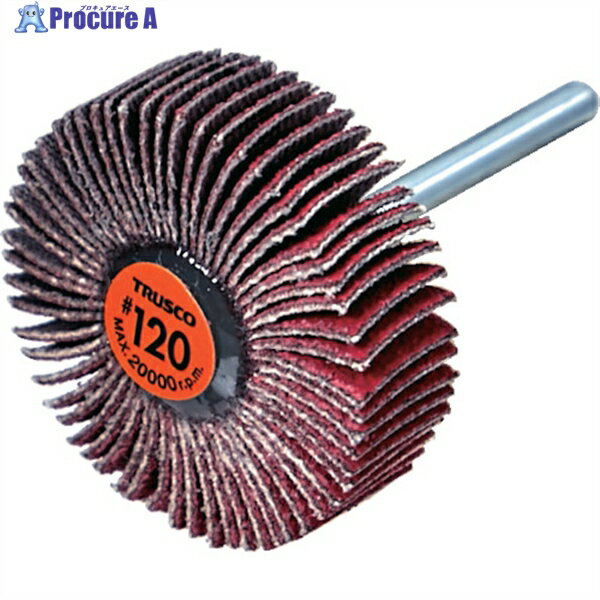 TRUSCO ߥåեåץۥ 3mm #120 3010߼Ĺ30 (10) TCF3010-CE-120 1Ȣ...