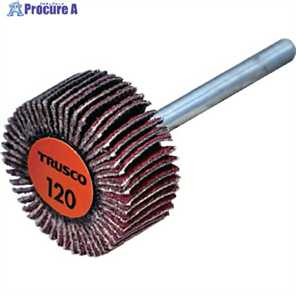 TRUSCO ߥåեåץۥ 3mm #120 2010߼Ĺ30 (10) TCF2010-CE-120 1Ȣ...