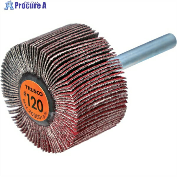 TRUSCO ߥåեåץۥ 6mm #120 4025߼Ĺ40 (5) TCF4025-CE-120 1Ȣ ...