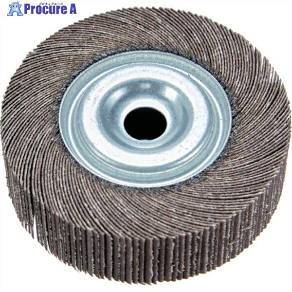TRUSCO 研磨輪 外径100 幅25 320# 2個入 TFW100-25-320 1箱 ▼768-2964