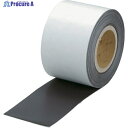 TRUSCO マグネットロール のり付 t1.0mmX巾250mmX10m TMGN1-250-10 1巻 ▼255-5332
