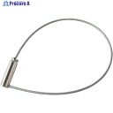 ニッサチェイン カチットワイヤーシングル100mm (5本入) TKY-1100S 1袋 ▼389-2549