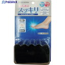 レンフロ 【売切商品】抗かび5本指クルーソックス TPTPKSE121A 1足 ▼420-8801