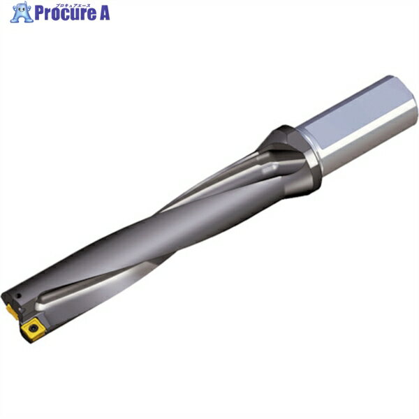 TAEGUTEC 刃先交換式ドリルホルダー トップドリル TOP 5225-25T2-08 1本 ▼440-1643