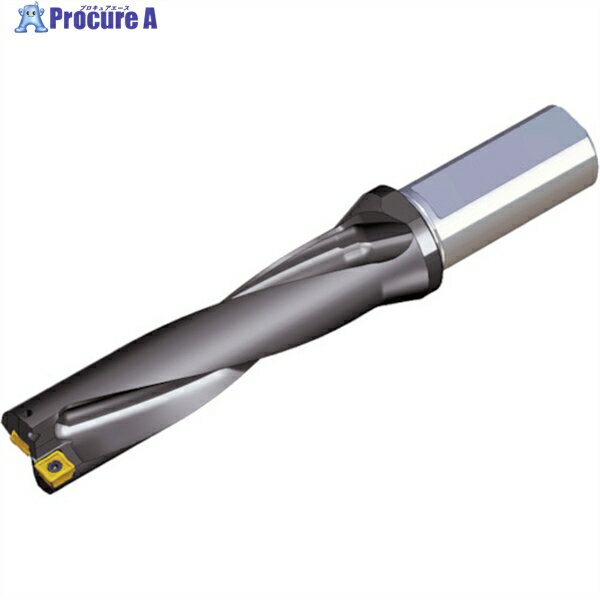 TAEGUTEC 刃先交換式ドリルホルダー トップドリル TOP 4340-32T2-11 1本 ▼440-3174