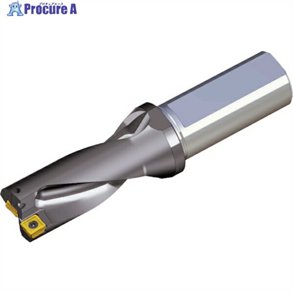 TAEGUTEC 刃先交換式ドリルホルダー トップドリル TOP 2440-40T2-15 1本 ▼440-4750