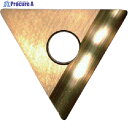 富士元 C面取り用精密級チップ 超硬M種 TiNコーティング NK3030 TT32GUR NK3030 12個 ▼208-7901