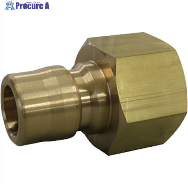FLOBAL ξϩååץ TS-3PF(BSBM) TS-3PF(BSBM) 1 353-0265