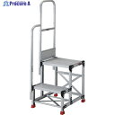 TRUSCO アルミ製作業用踏台 2段 高さ0.5m 天板寸法1000×400 段高250mm 階段片手すり付き TSF-2105-TK250 1台 ◇▼552-0140