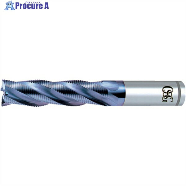 OSG VXPMե  եԥå 6 Ϸ50mm Ĺ150mm Ĺ250mm 8456700 VP-RELF-50(845670...