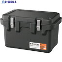 IRIS 294775 HUGEL 真空断熱クーラーボックス 20L チャコールグレー VITC-20-CH 1台 ▼435-9014