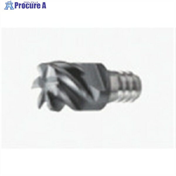 タンガロイ タング・マイスター用ヘッド スクエアタイプ 難削材加工用 VED AH725 VED100L07.0R05-06S06..