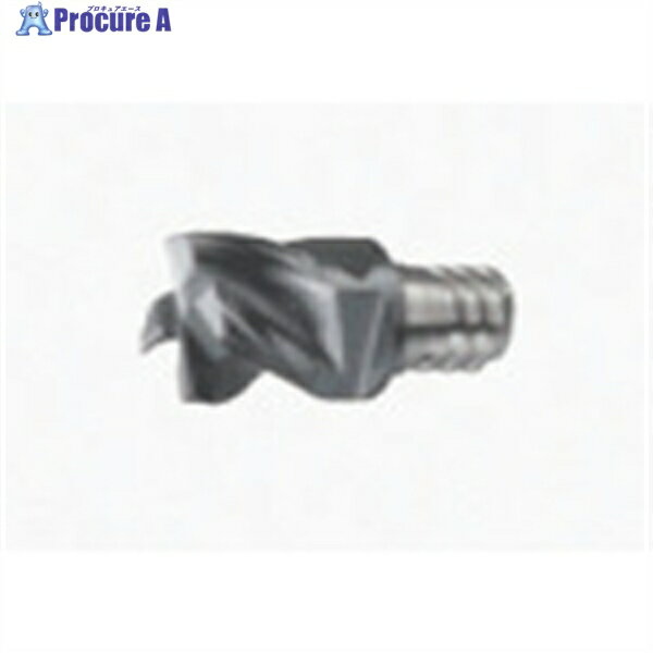 タンガロイ タング・マイスター用ヘッド 4枚刃 スクエアタイプ 汎用型 VED AH725 VED120L09.0R10-04S08..