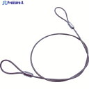 ニッサチェイン ステンレスカットワイヤー アルミカシメ 透明PVCコーティング 0.81(1.2)X300mm (1本=1PK) Y-87 1本 ▼114-27...