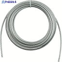 TRUSCO 手動ウインチ用ワイヤーΦ4X5m用(切りっ放し) WW4-5 1本 ▼392-5455