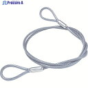 ニッサチェイン 鉄製カットワイヤー 透明PVCコーティング 3(4.3)X1040mm (1本=1PK) Y62 1本 ▼405-7066