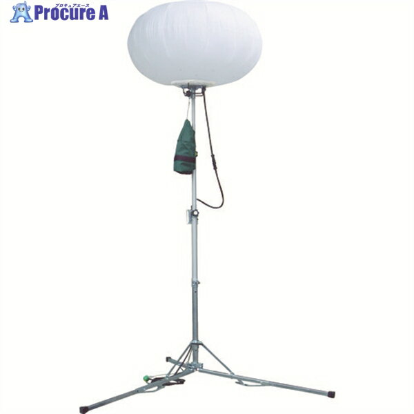 拾 LED300WХ롼(ϡɥ) WL301SLBAKS-2 1 793-3665