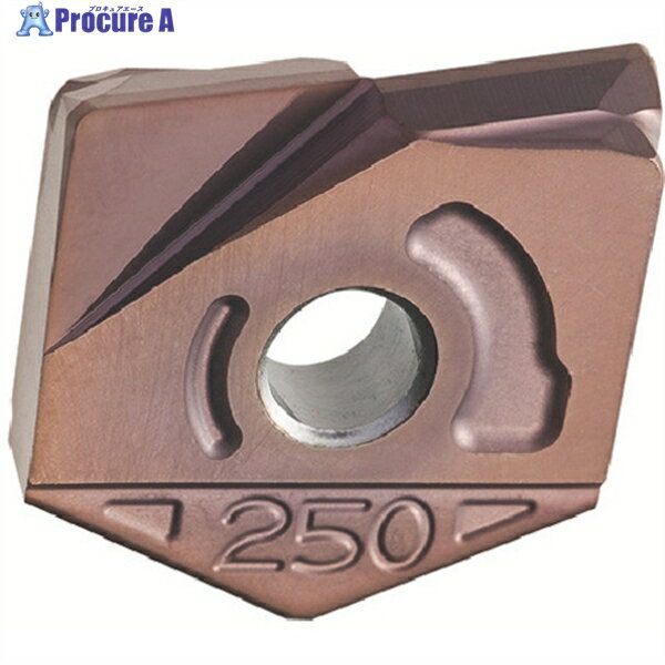 MOLDINO カッタ用インサート ZCFW300-R2.0 PTH08M PTH08M ZCFW300-R2.0 PTH08M 2個 ▼429-8233