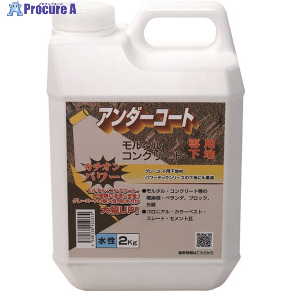 パワーテック 建築用下地剤 カチオン型アンダーコート下地材(水性) 透明 2kg 17624 1個 ▼195-4752
