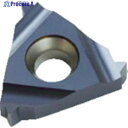 NOGA Carmexねじ切り用チップ テーパーねじ用 チップサイズ16×19山×55° 16IR19BSPTBMA 10個 ▼403-4805