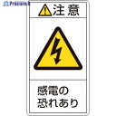 緑十字 PL警告ステッカー 注意・感電の恐れあり PL-213(小) 70×38mm 10枚組 203213 1組 ▼815-1241