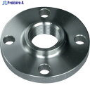 inoc ねじ込みフランジ 10K20A 304STF10K20A 1個 ▼175-5510