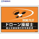 緑十字 差し込み式安全ベスト用台紙 ドローン操縦士 オレンジ DRD-1 210×297mm 2枚組 合成紙 237216 1組 ▼195-2928