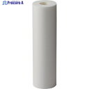 AION カネフィールR 250mm 公称精度25μm (2本/パック) 25R-2410 1パック ▼384-6342