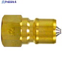 日東 SPカプラ タイプA 真ちゅう製 ふっ素ゴムFKM X-100(07923) 3P-A BRASS FKM 1個 ▼410-0477 ●KO521