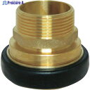 IWA 黄銅製 町野式媒介金具 D104 町野メス×ガスネジオス(PTネジ) 36D020B 1個 ▼429-8856【代引決済不可】