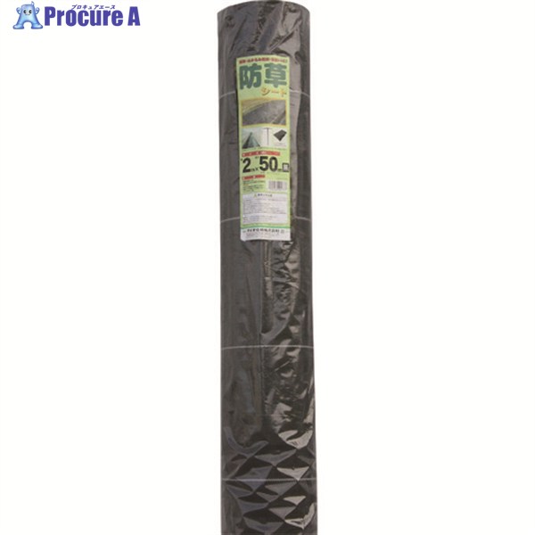 Dio 𥷡 2m50m 401777 1 819-4882 ٸѡۢ־Ϥ