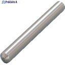 ナカニシ ダイヤ単石ドレッサー 100×軸φ11 1ct 57554 1本 ▼833-8180