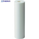 AION カネフィールR 250mm 公称精度75μm (2本/パック) 75R-2610 1パック ▼384-6458